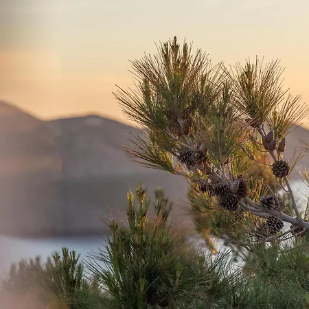 Sunset In Apartament *