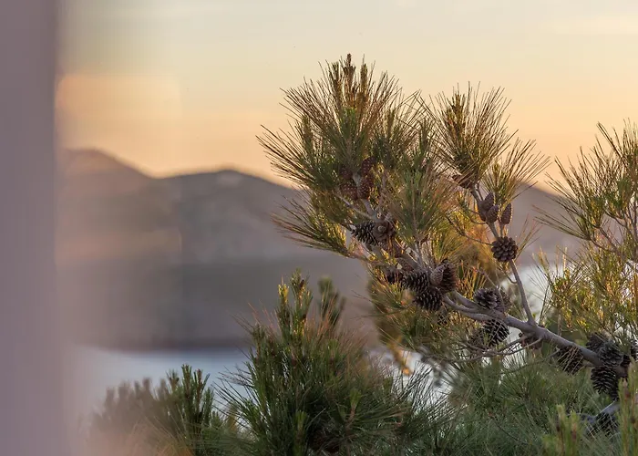 Sunset In Apartamento *